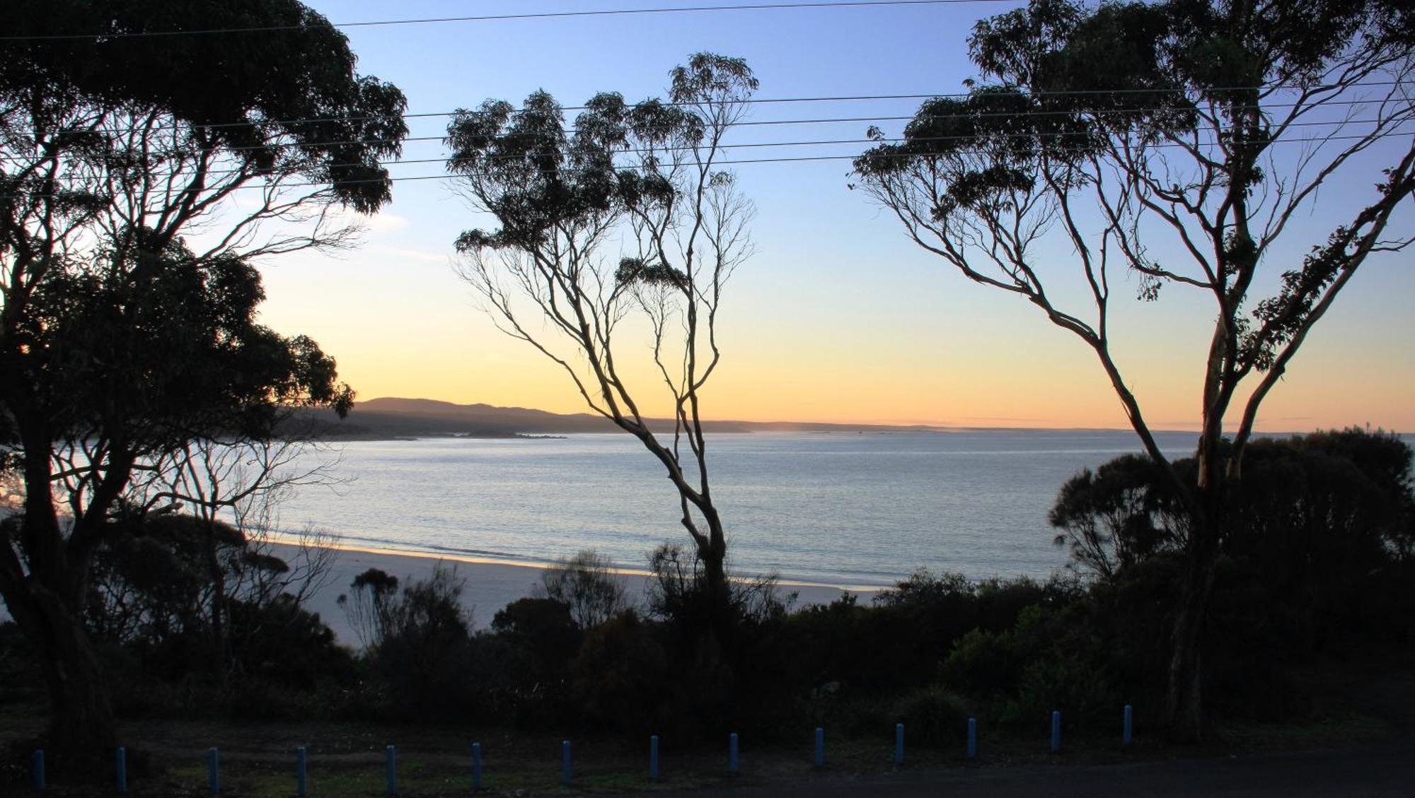 Kingfisher Cottage Beachfront At The Binalong Bay Buitenkant foto